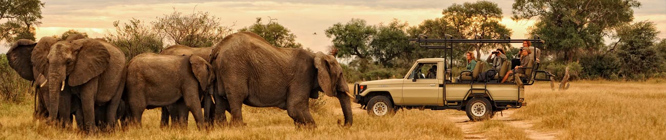 Zambezi River Odyssey
